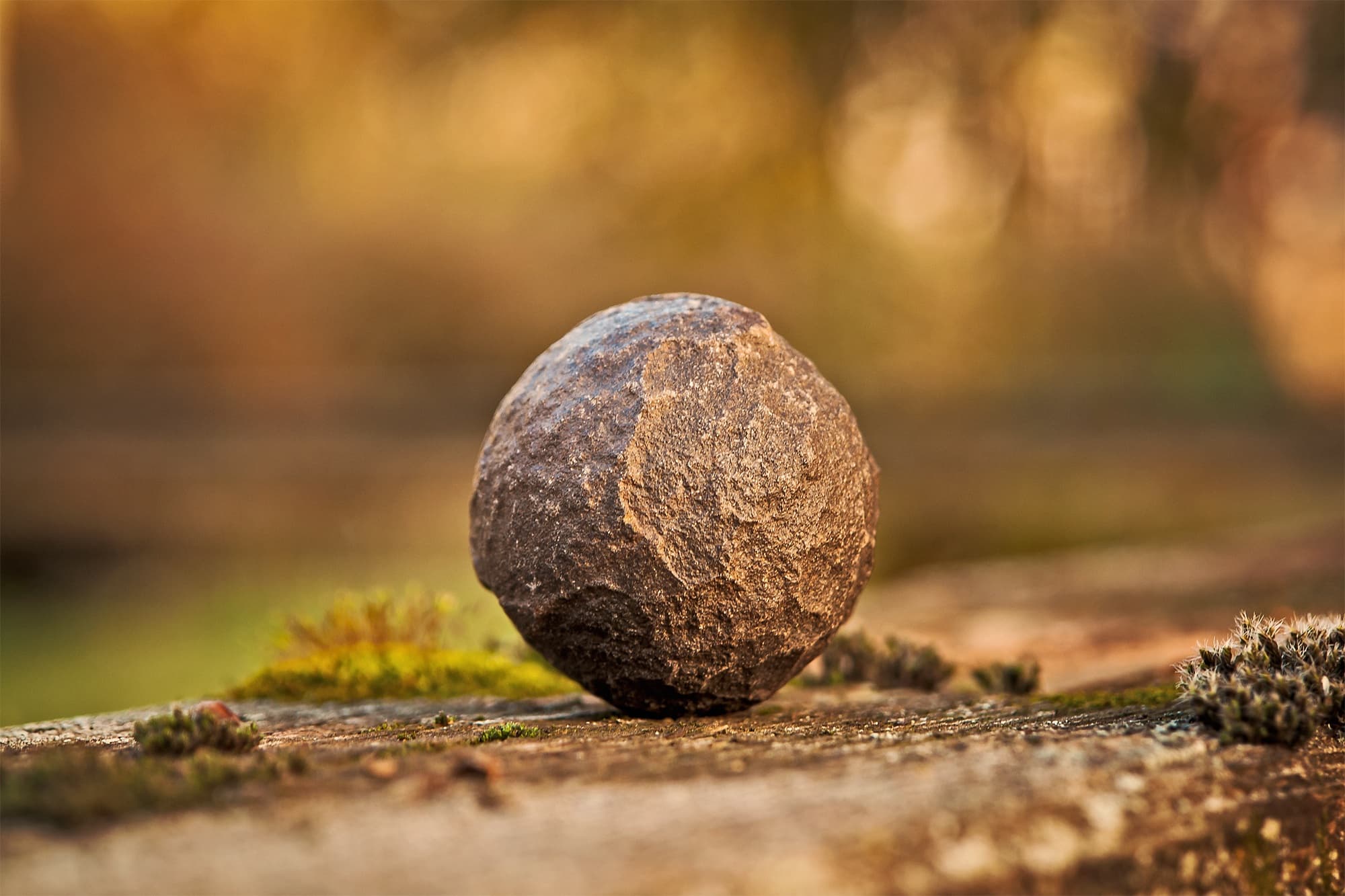 A Balanced Life Health Care