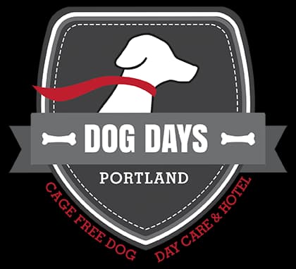 Dog Days