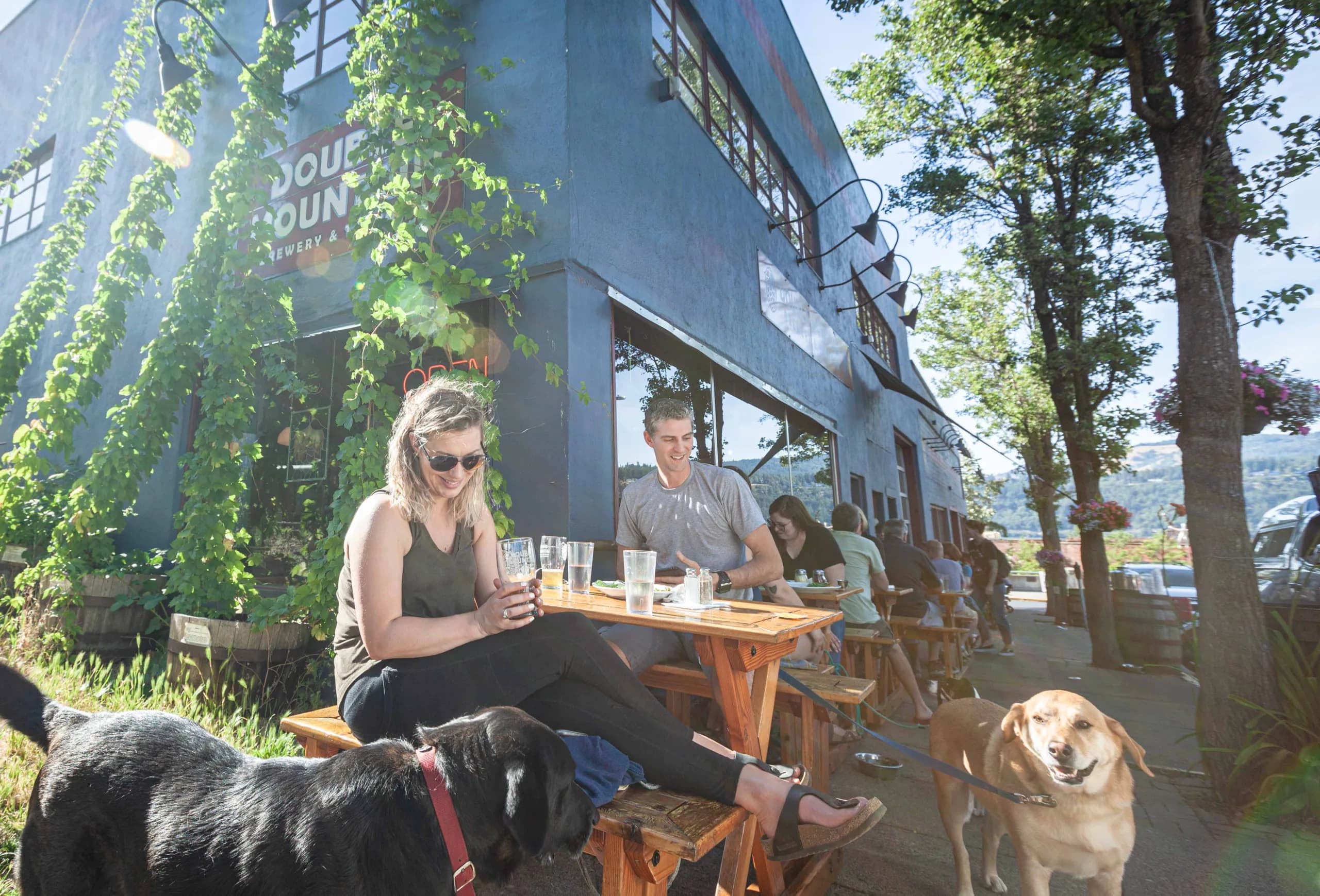 Double Mountain Brewery & Cidery