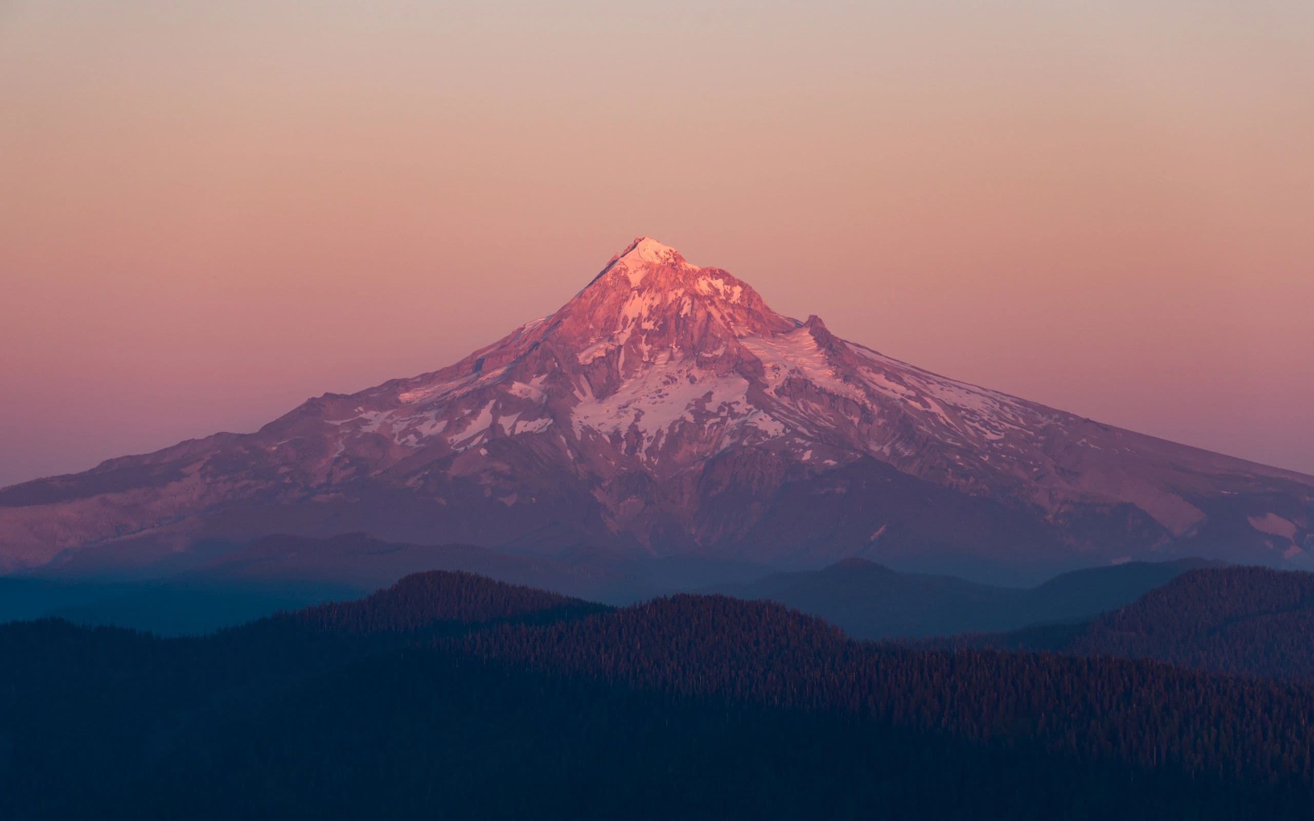 Alive Chiropractic & Rehabilitation