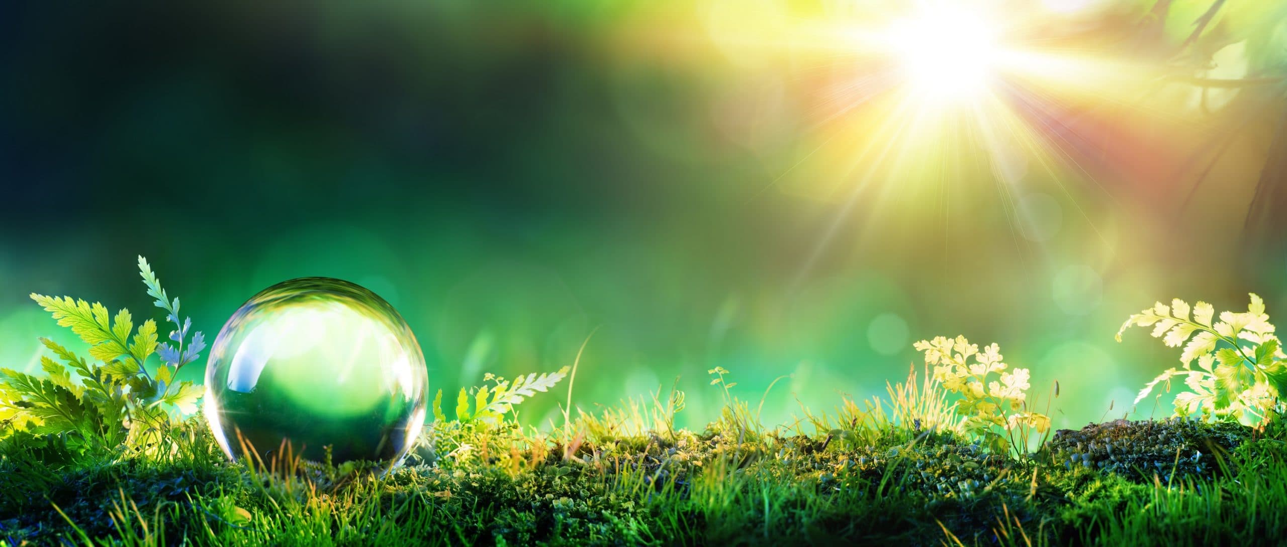 ASA Hypnosis & Reiki