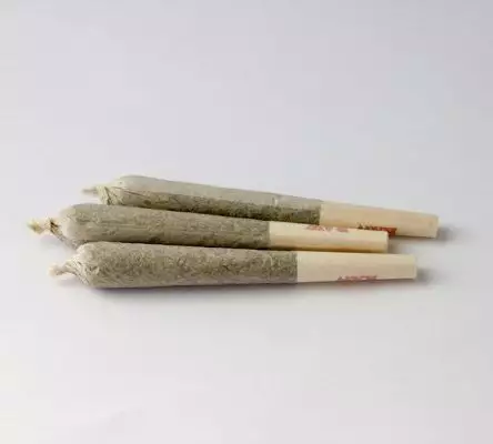 Farma PDX
