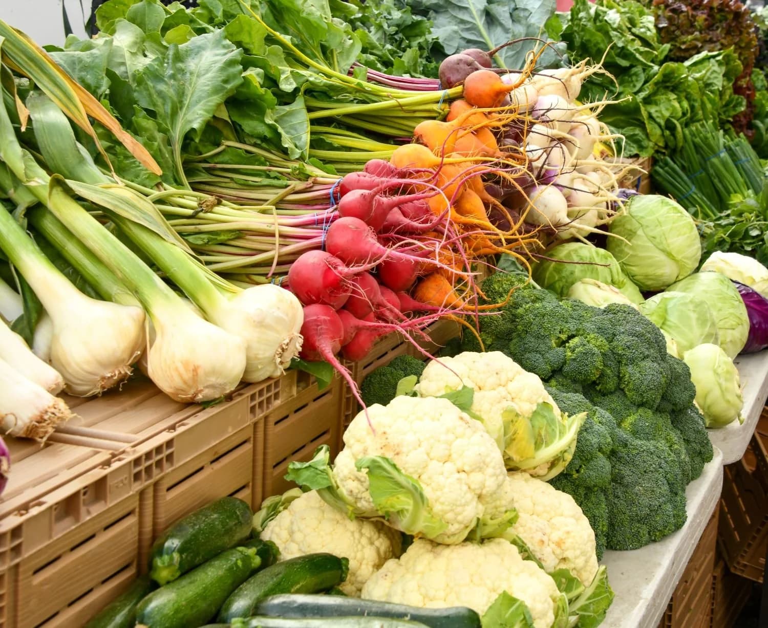 Hollywood Farmers Market