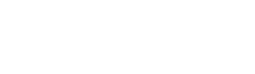 A-MAX Security Solutions, Inc. logo