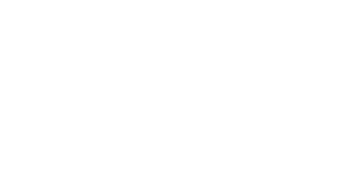 Echo Audio logo