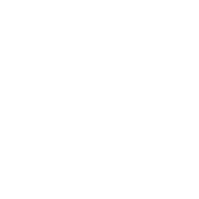Hala Gores P.C. logo