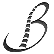 Berntsen Chiropractic PC logo