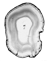 Agate Psychotherapy logo